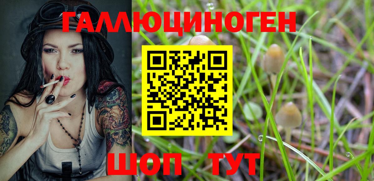 Галлюциногенные грибы Psilocybine cubensis  Вход с VPN  Качканар 